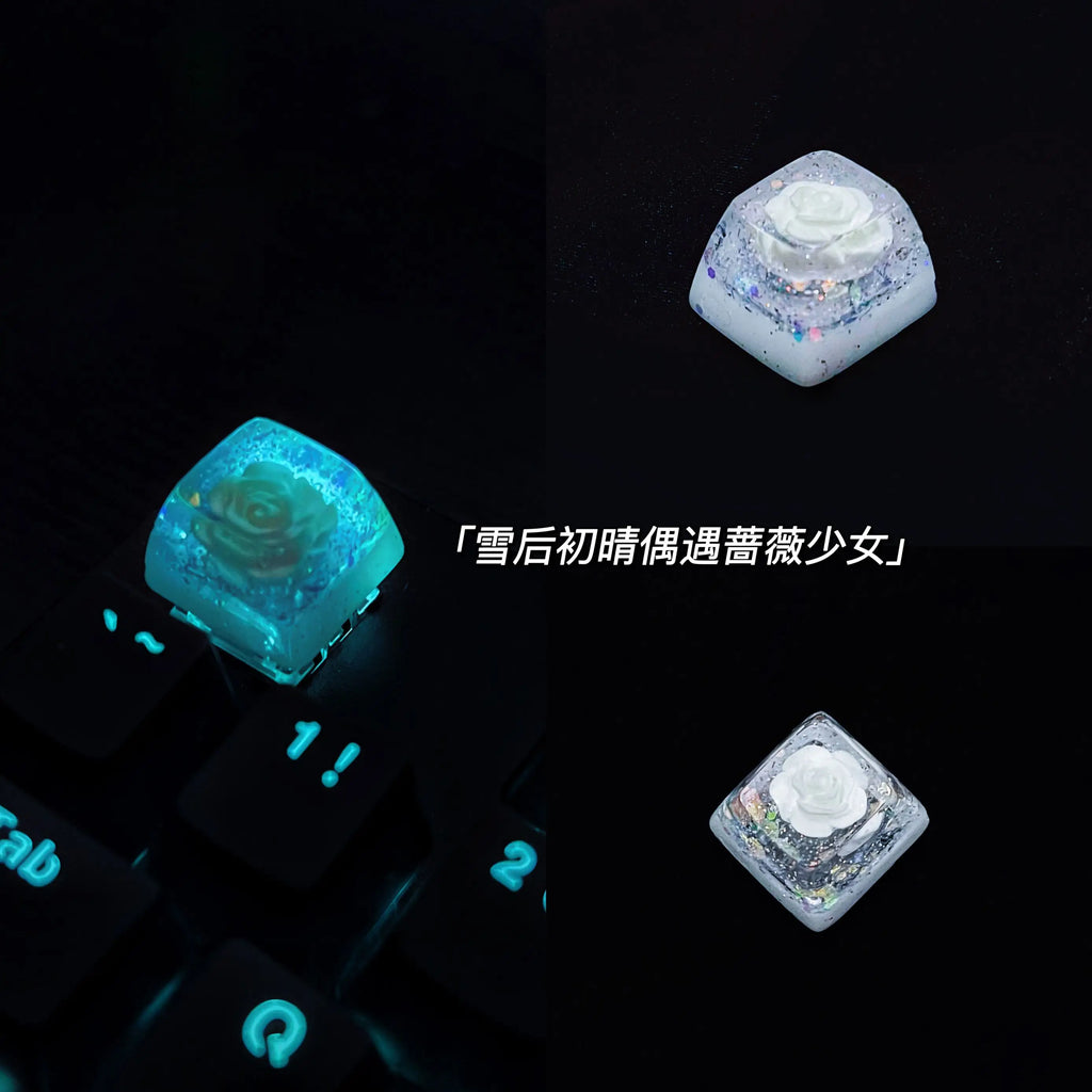 1 Piece Ice Rose/Polar Bear/Steampunk/Gear/Pond Fish/Koi/Stars Artisan Resin Keycaps ESC Mechanical Backlit Keyboard RGB Keycap