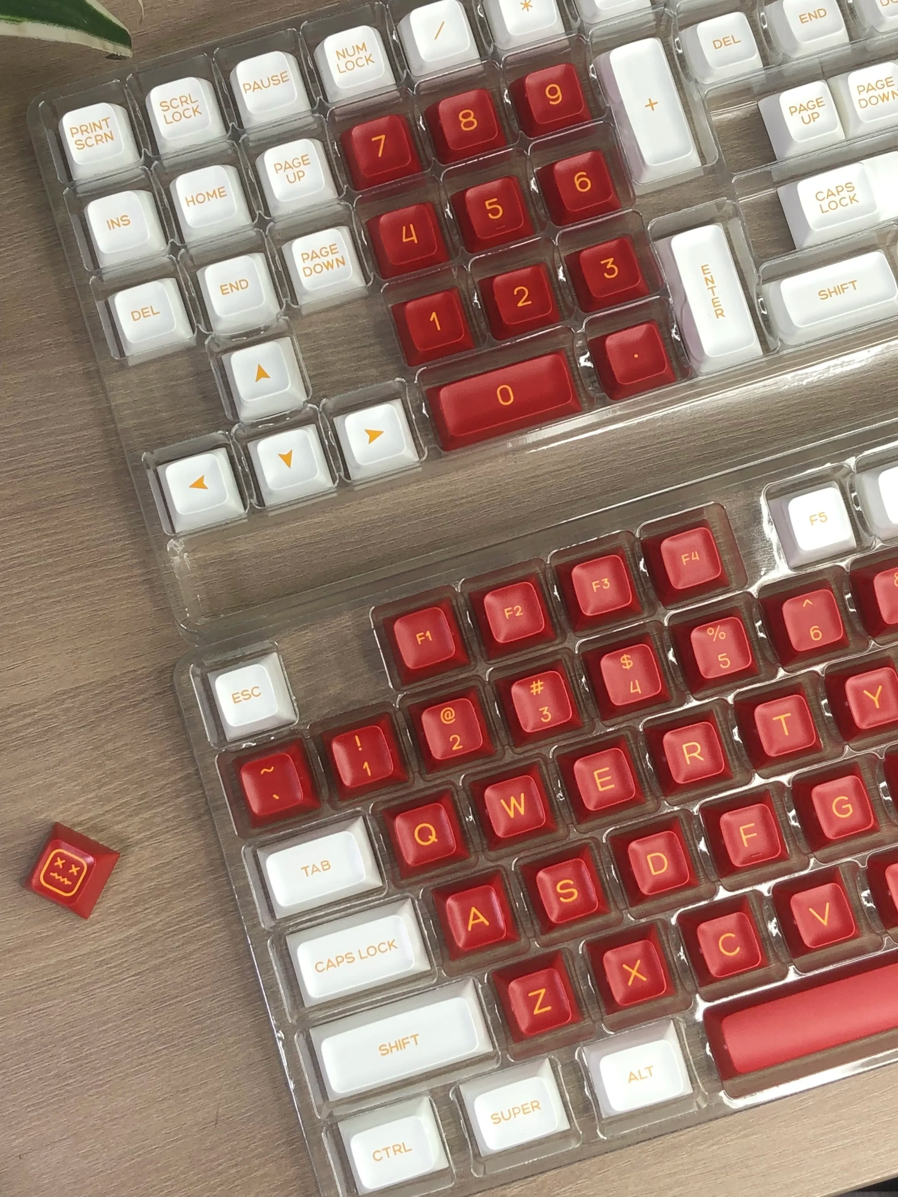 Year of the Dragon red three color matching Fuluxi SA height PBT material 160 keys full set